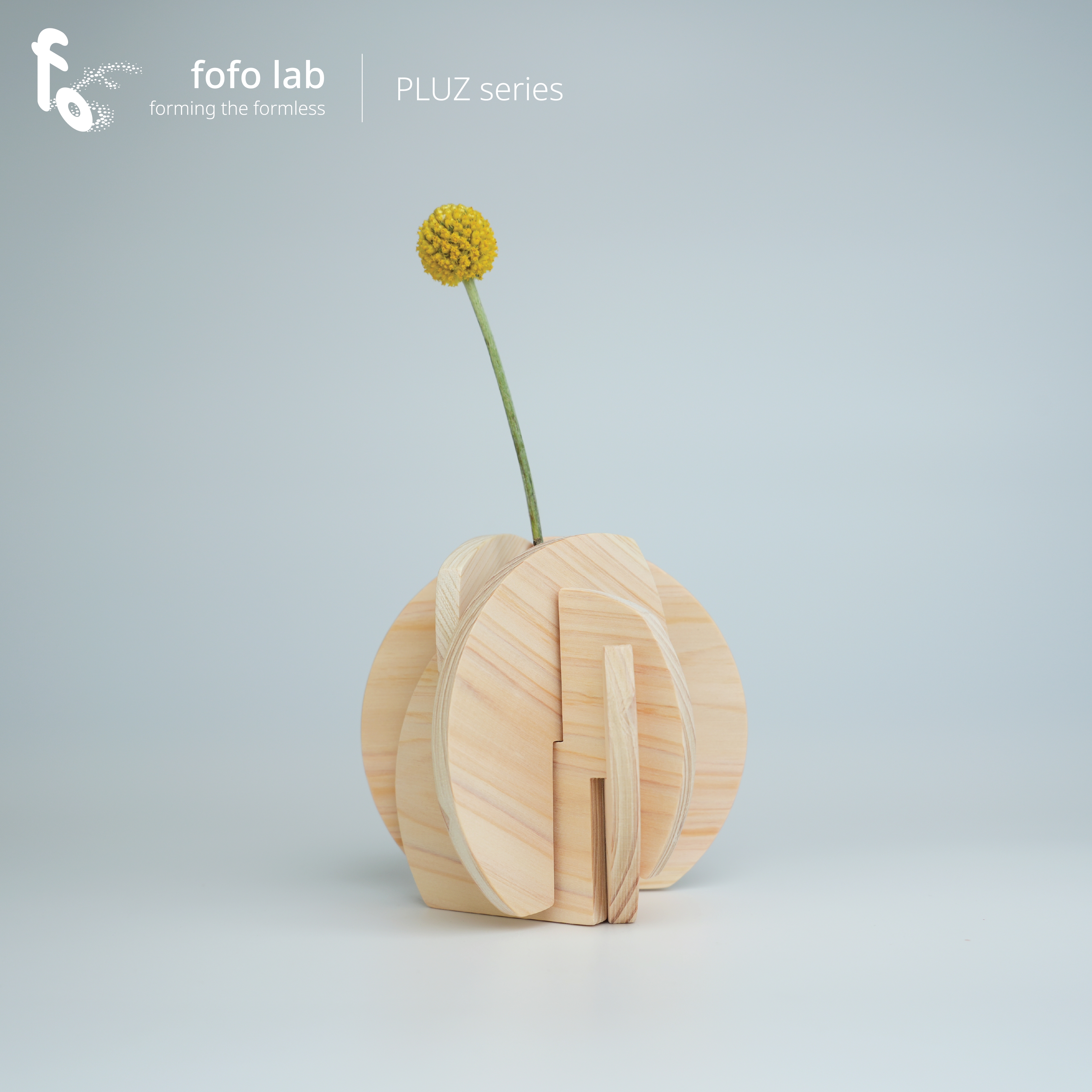 PLUZ｜木板の花器 × ミニボル